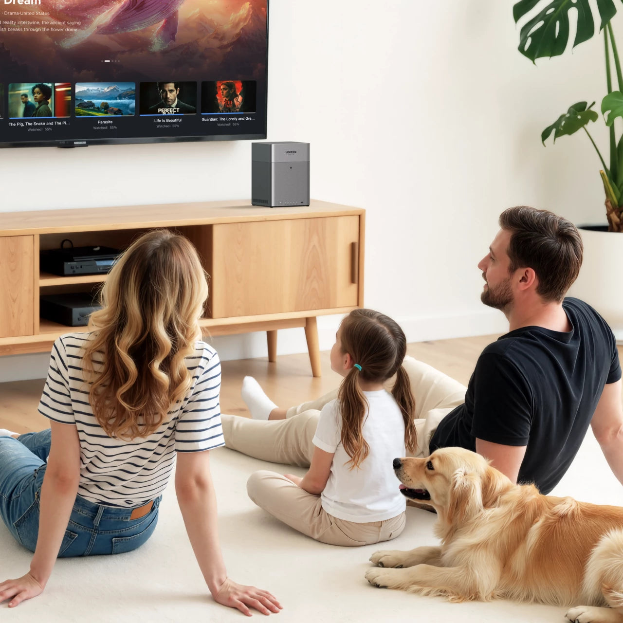 Benutzerfreundliches Medien-Hub